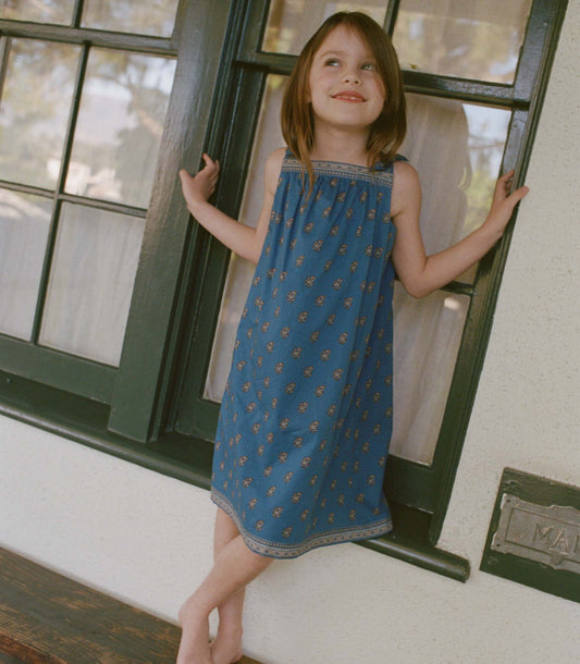 AMAIA DRESS -- EARTHA PAISLEY